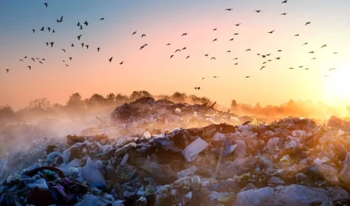Birleşmiş Milletler: Çevre kirliliği Covid-19’dan daha çok ölüme neden oluyor
